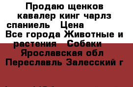 Продаю щенков кавалер кинг чарлз спаниель › Цена ­ 40 000 - Все города Животные и растения » Собаки   . Ярославская обл.,Переславль-Залесский г.